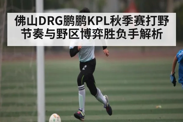 佛山DRG鹏鹏KPL秋季赛打野节奏与野区博弈胜负手解析